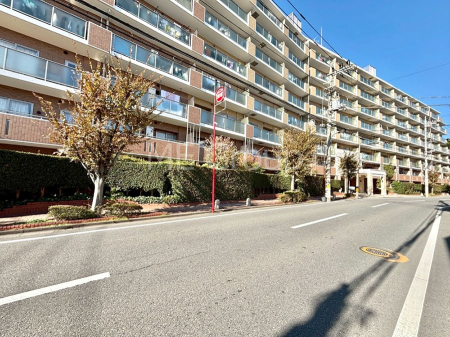 ���n�O�ώʐ^ ��Ƃ肪�Ί�𐶂ސS�n�悢���� 