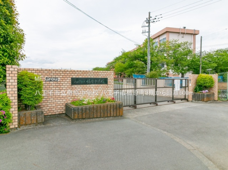 ���ӊ� ���w�Z 600m �����q�s���茴���w�Z