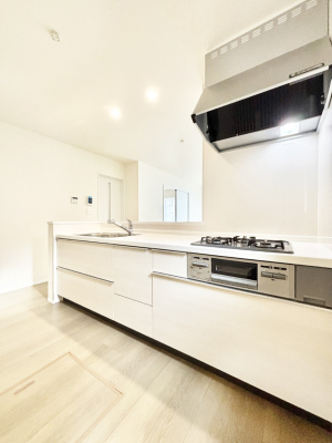 �L�b�`�� �����g���L�b�`��������A�g���₷�����������̂��₷���ɂ������܂����B 