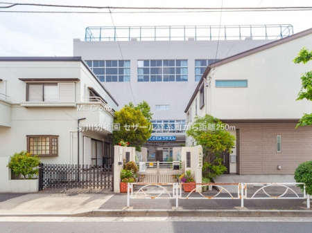 ���ӊ� �c�t���E�ۈ牀 250m �e��c�t��