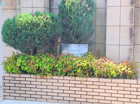 �G���g�����X -