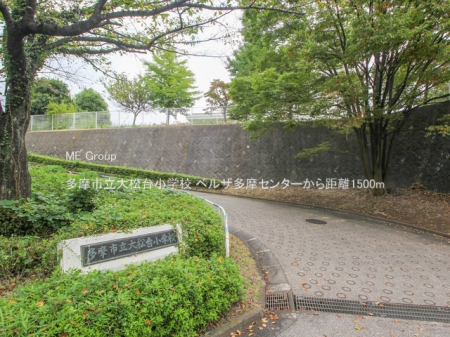 ���ӊ� ���w�Z 1500m �����s���叼�䏬�w�Z