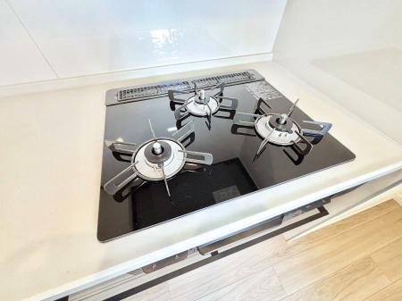 ���̑����� �K�X�R�����͂r���Z���T�[���ځB�Η͒��߂�ł��t���E�����Y����h���ł���܂��B