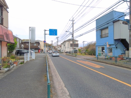 ���n�y�n�ʐ^ -