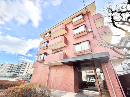 ���n�O�ώʐ^ �e�����̌�����B��������E�ʕ��ǍD�ł��B