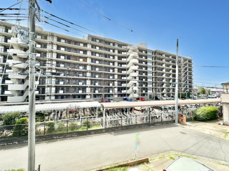 ���̑� �o���R�j�[����̒��]�ł��B�S�n�悢����������ꂻ���ł��ˁI