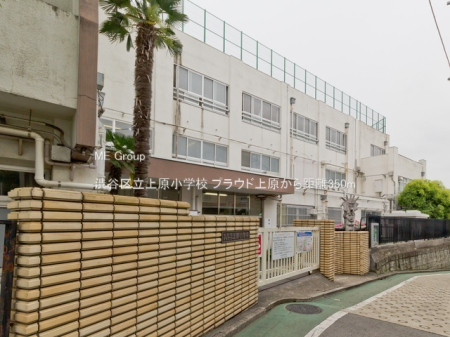 ���ӊ� ���w�Z 350m �a�J�旧�㌴���w�Z