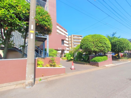 �G���g�����X -