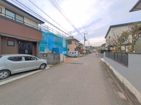 ���n�O�ώʐ^ -