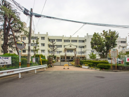 ���ӊ� ���w�Z 1900m ��z�s����쒆�w�Z