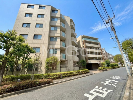 ���n�O�ώʐ^ ��������n�܂�V�����������������܂�