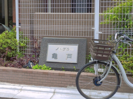 �G���g�����X -