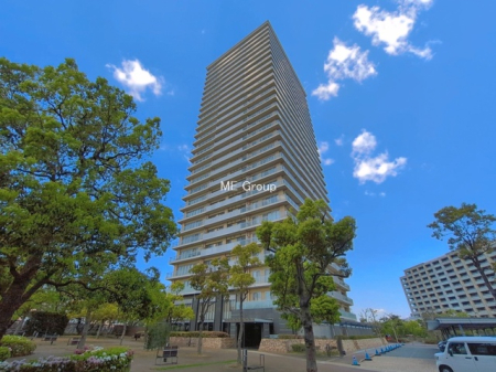 ���ӊ� ���w�Z 1150m ��c�旧�䒬���w�Z