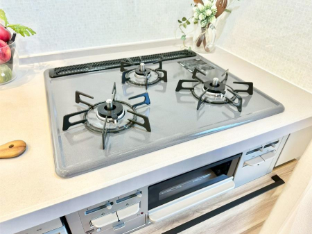 ���̑����� �K�X�R�����͂r���Z���T�[���ځB�Η͒��߂�ł��t���E�����Y����h���ł���܂��B