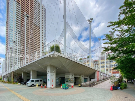 ���ӊ� ���w�Z 1480m �i��旧������эZ����w��