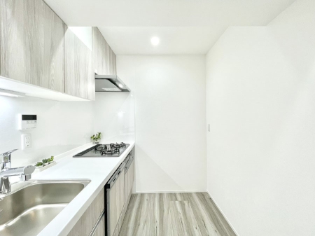 �L�b�`�� ��Ƃ肠��L�b�`���X�y�[�X�ł�������H��̌�Еt�����X���[�Y�ɁI