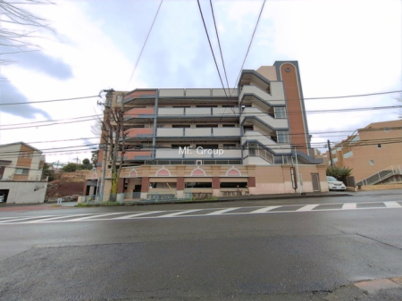 ���n�O�ώʐ^ -