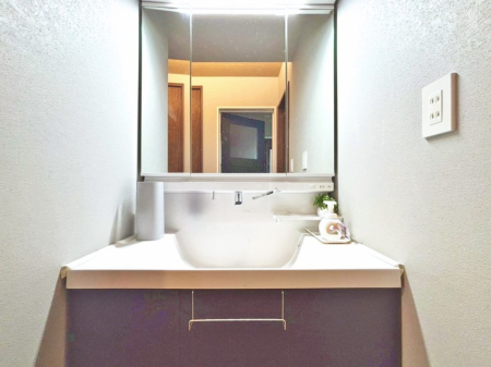 ���ʑ�E���ʏ� ���[�͂Ƌ@�\���ɗD�ꂽ���ʉ��ϑ�