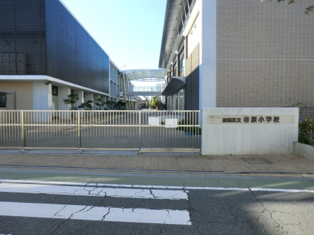 ���ӊ� ���w�Z 390m ���n�旧�J�����w�Z