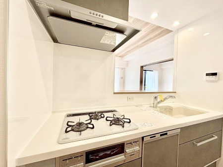 �L�b�`�� �J�E���^�[�z���Ɋy����������ׂ�B�����̂������������Ɣ��������Ȃ肻���ł��ˁB