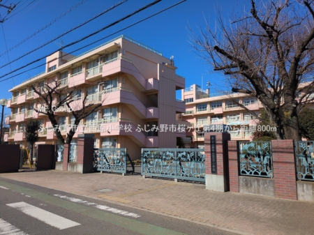 ���ӊ� ���w�Z 800m �ӂ��ݖ�s���������w�Z