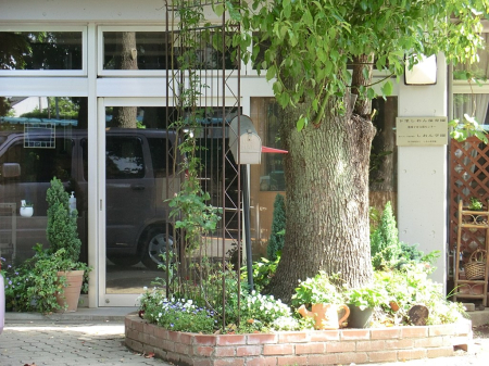 ���ӊ� �c�t���E�ۈ牀 450m ����������ۈ牀