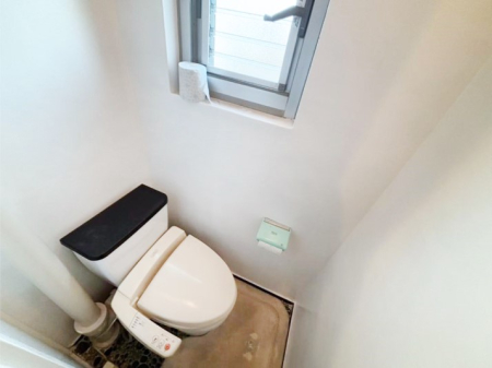 �g�C�� ���C�p����������A���ł����邭�����ȋ�Ԃł��B