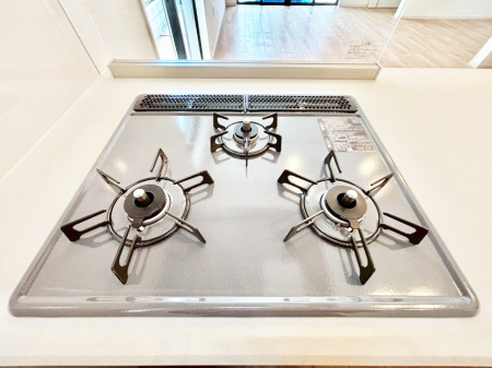 ���̑����� �K�X�R�����͂r���Z���T�[���ځB�Η͒��߂�ł��t���E�����Y����h���ł���܂��B