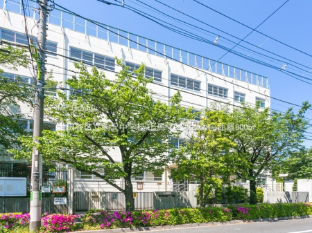 ���ӊ� ���w�Z 800m ���c�J�旧��򒆊w�Z