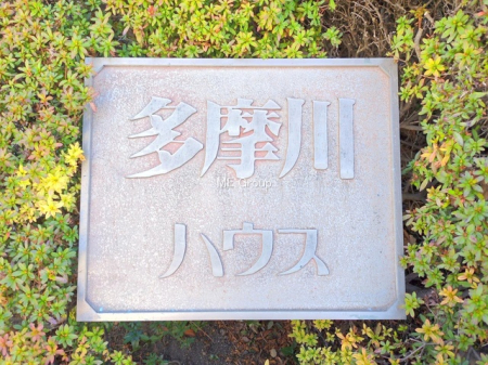 �G���g�����X -