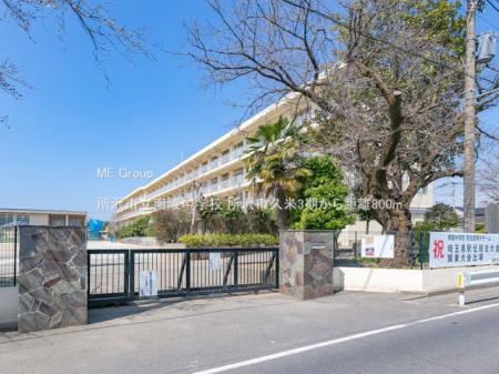 ���ӊ� ���w�Z 800m ����s����˒��w�Z