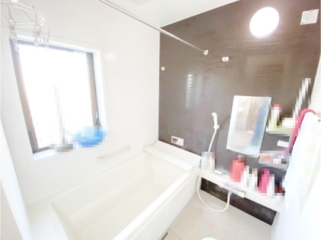 ���� ����