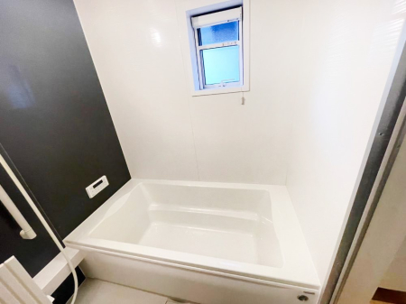 ���� ����̔�����₷��؂ȃo�X�^�C���B