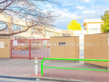 ���ӊ� ���w�Z 1200m ���旧���Ԓˏ��w�Z