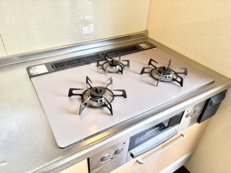 ���̑����� �K�X�R�����͂r���Z���T�[���ځB�Η͒��߂�ł��t���E�����Y����h���ł���܂��B