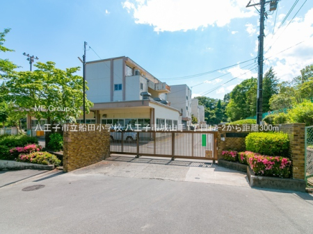 ���ӊ� ���w�Z 300m �����q�s���D�c���w�Z