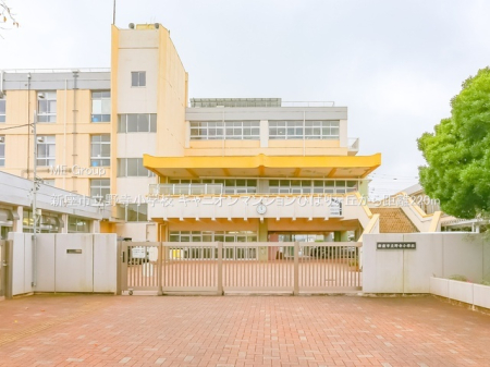 ���ӊ� ���w�Z 220m �V���s���쎛���w�Z