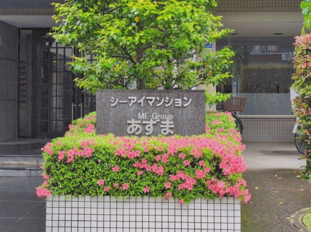 �G���g�����X -