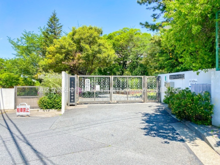 ���ӊ� ���w�Z 1700m �`�旧�������w�Z