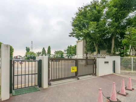 ���ӊ� ���w�Z 300m �{���s���{�h���w�Z