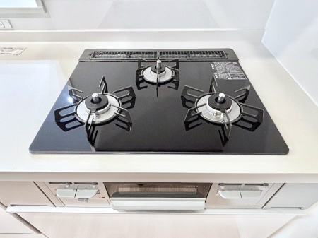 ���̑����� �K�X�R�����͂r���Z���T�[���ځB�Η͒��߂�ł��t���E�����Y����h���ł���܂��B