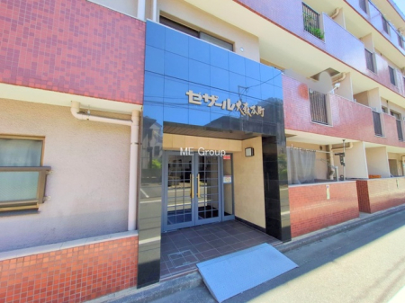 �G���g�����X -