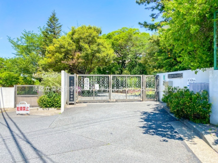 ���ӊ� ���w�Z 2130m �`�旧�������w�Z
