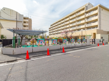 ���ӊ� �c�t���E�ۈ牀 750m �����ۈ牀
