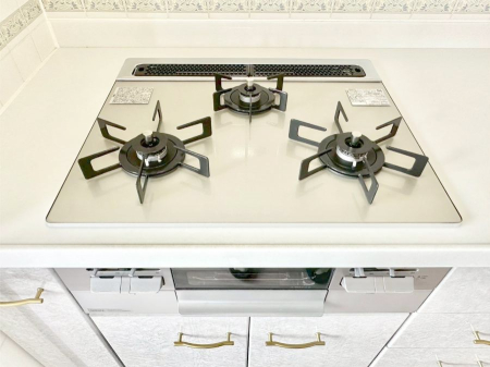 ���̑����� �K�X�R�����͂r���Z���T�[���ځB�Η͒��߂�ł��t���E�����Y����h���ł���܂��B