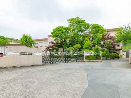 ���ӊ� ���w�Z 750m �����q�s�����R���w�Z