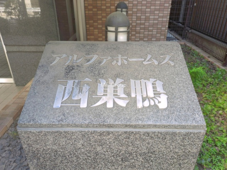 �G���g�����X -