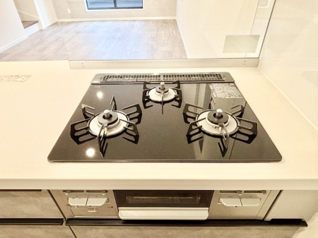 ���̑����� �K�X�R�����͂r���Z���T�[���ځB�Η͒��߂�ł��t���E�����Y����h���ł���܂��B