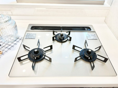 ���̑����� �K�X�R�����͂r���Z���T�[���ځB�Η͒��߂�ł��t���E�����Y����h���ł���܂��B