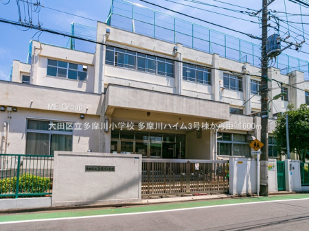 ���ӊ� ���w�Z 600m ��c�旧�����쏬�w�Z